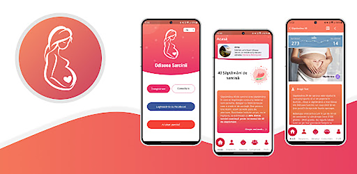 Odiseea Sarcinii, Sarcina ta