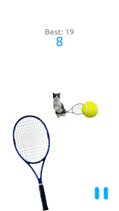 Cat Tennis Battle