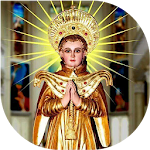 Cover Image of ดาวน์โหลด ST. STEPHENS KNANAYA CATHOLIC  APK