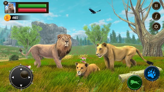 Jungle Kings Kingdom Lion 1