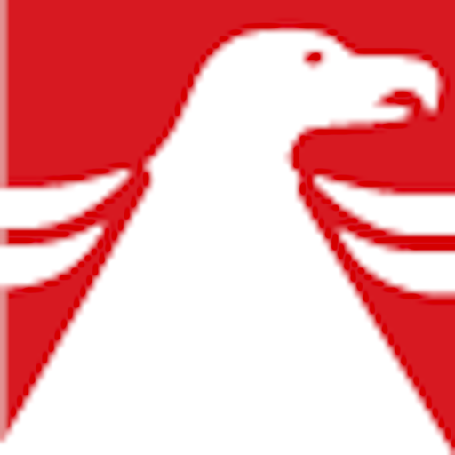 American Insurance Online logo