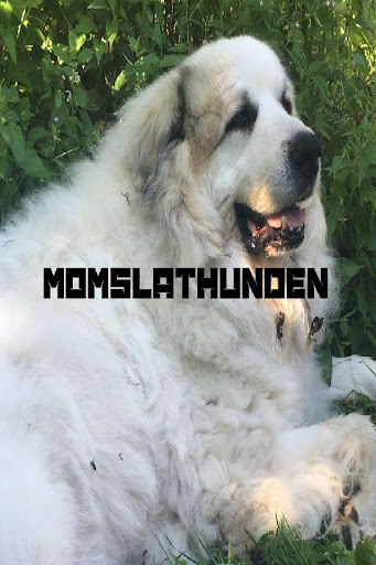 Momslathunden Screen 2