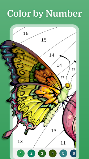 Zen Color - Color By Number 2