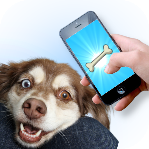 Dog Laser - Game for Dogs