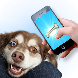 Icon image Dog Laser - Game for Dogs