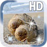 Sea shell Live Wallpaper icon