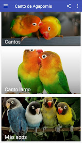 Screenshot 8 Agapornis Canto android