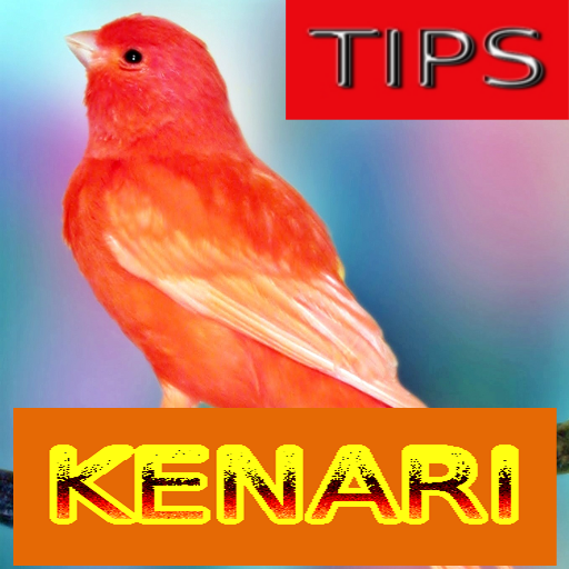Tips Perawatan Burung Kenari 1.0 Icon