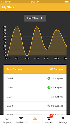 Burpees Counter Screen 3