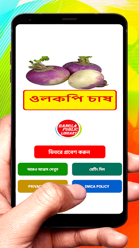 ওলকপি চাষ  Turnip Cultivation