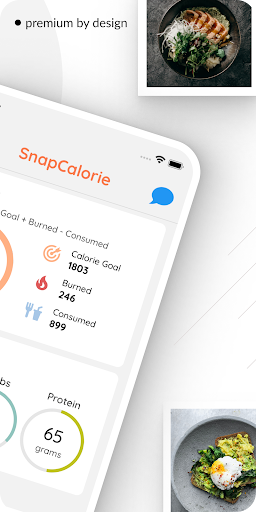 SnapCalorie AI Calorie Counter Screen 2