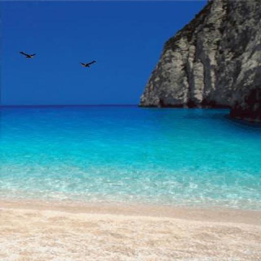 Beach Live Wallpaper logo
