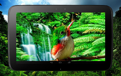 3D birds parallax live wallpaper