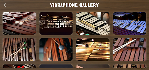 Vibraphone Instrument