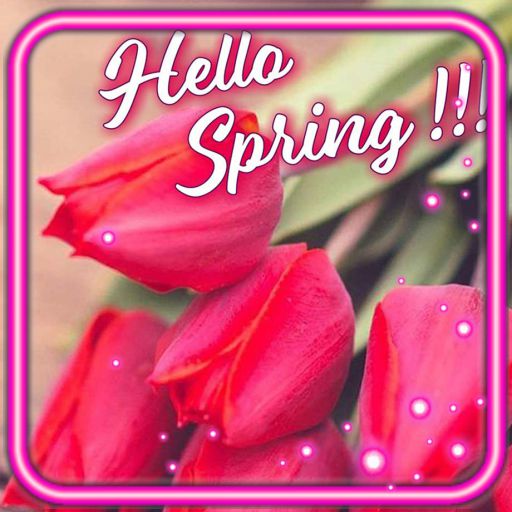 Greetings Spring
