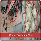 House Swallow's Nest icon