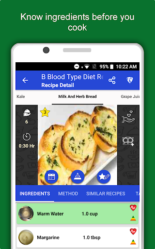 Screenshot of B Blood Type Recipes Diet Plan
