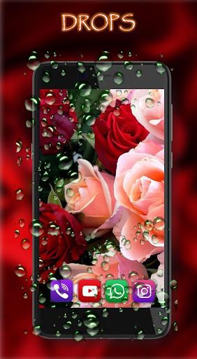 Valentine Roses Live wallpaper