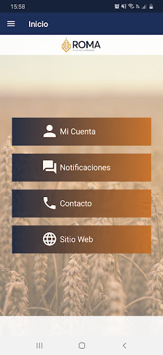 Roma Screen 2