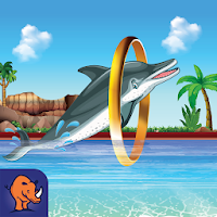 Sea Dolphin Pool Show Animal Ocean Simulator