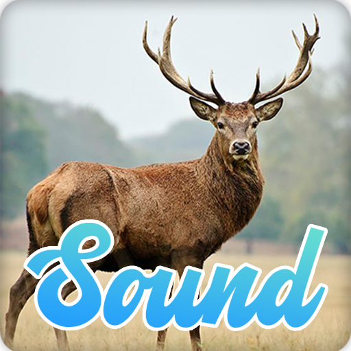 Deer Sounds Effect - Apps on Google Play