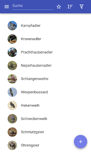 App-Vorschau