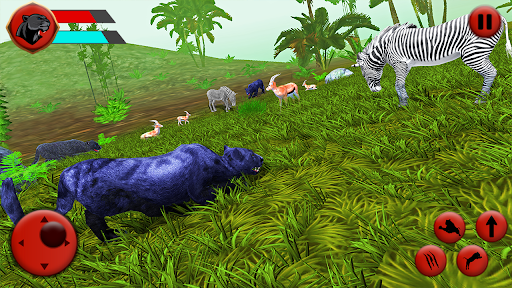 Black Panther Sim Game- Wild Animal Simulator 2021