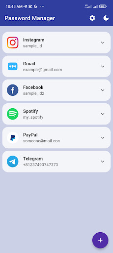 Password Manager Pro