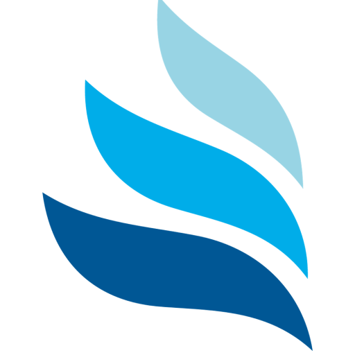 BlueDomain Go logo