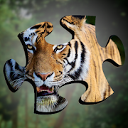 Tiger Jigsaw Puzzles HD - Big Cat Jigsaws
