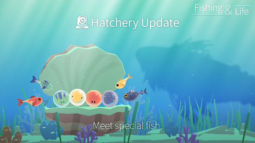 Fishing and Life 3