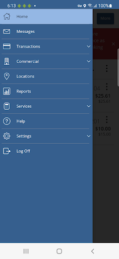 Lake Trust Business Banking Screen 3
