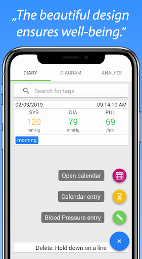 Blood Pressure Diary Screen 2