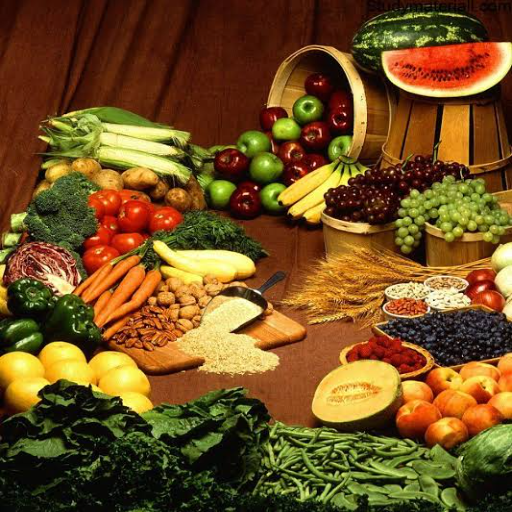 foodish logo