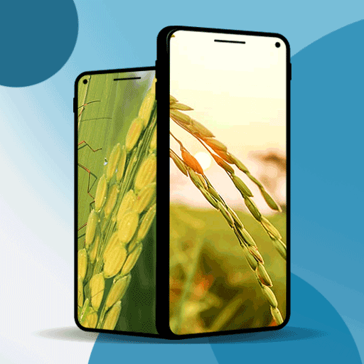 Rice Ducked Wallpaper