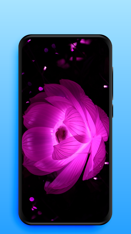 Video Live Wallpapers - 1.2.9 - (Android)