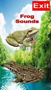 Frog Sound 3D Effects Tone