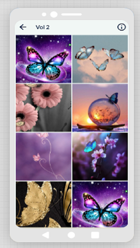 Butterfly Aesthetic Wallpaper