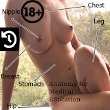 Female Anatomy icon