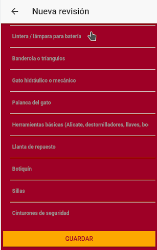 Inspección Vehículos FNC Screen 3