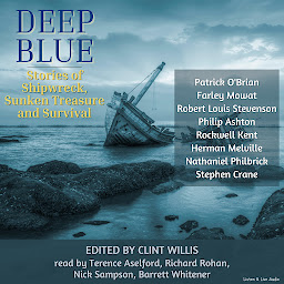 Icon image Deep Blue: Stories of Shipwreck, Sunken Treasure and Survival