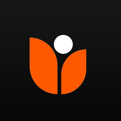 Amigo NG logo