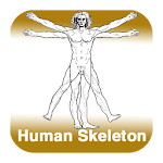 Cover Image of 下载 Anatomy - Human Skeleton  APK