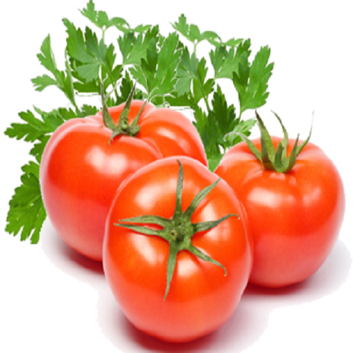 Tomato-IFC تنزيل على نظام Windows