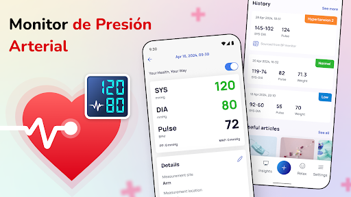 Vista previa de la aplicación