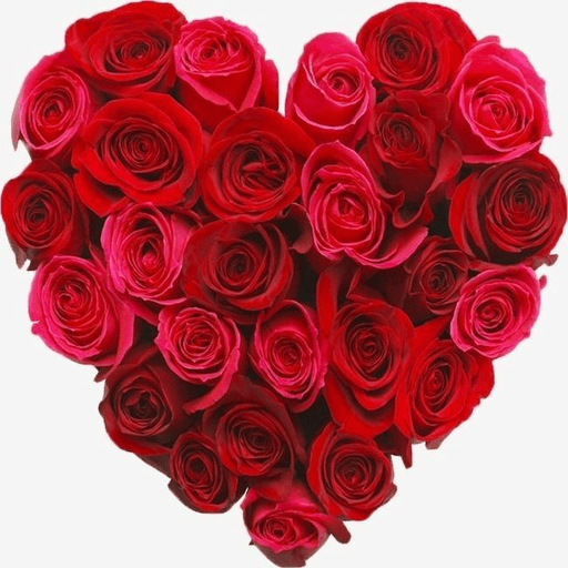 roses and flowers logo