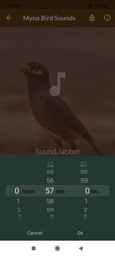 Mynas Bird Sounds Screen 3
