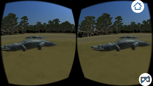 Das tropische Urmeer VR