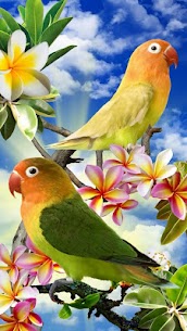 Birds Live Wallpaper Free For PC installation