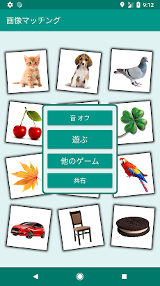 Brain game. Picture Match.のおすすめ画像1